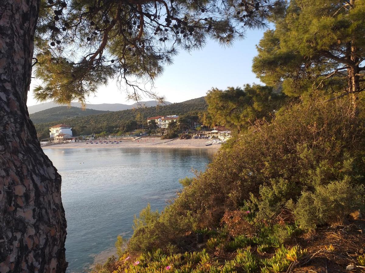 Beach Hotel Kapahi Πευκάρι Εξωτερικό φωτογραφία